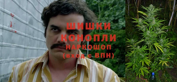 стаф Анжеро-Судженск