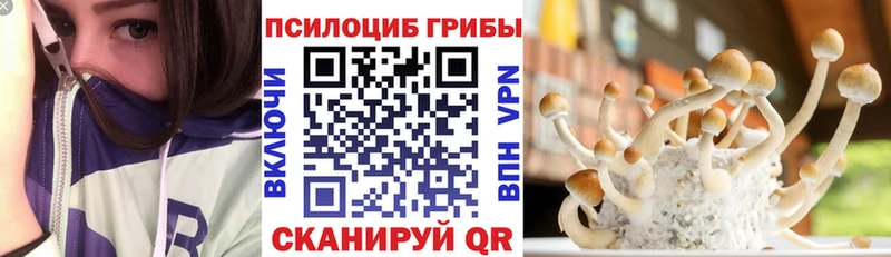 Псилоцибиновые грибы прущие грибы  Архангельск 