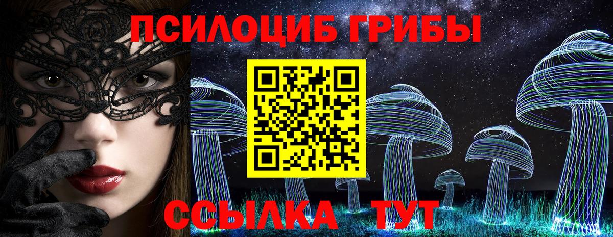 Псилоцибиновые грибы мицелий  Галлюциногенные грибы Psilocybine cubensis  Архангельск 