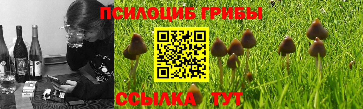 Псилоцибиновые грибы Psilocybine cubensis  Псилоцибиновые грибы MAGIC MUSHROOMS  Архангельск  Вход с VPN 